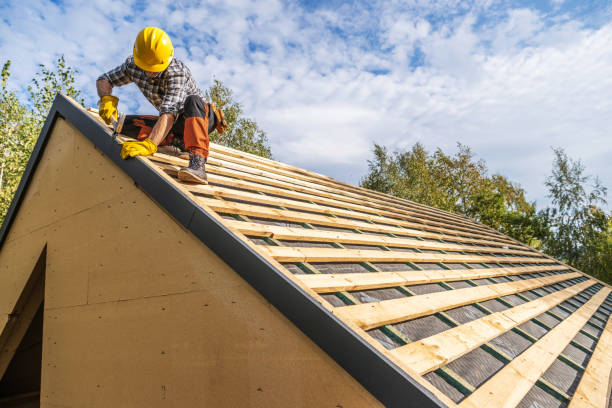 Best Roof Gutter Cleaning  in Wiggins, CO